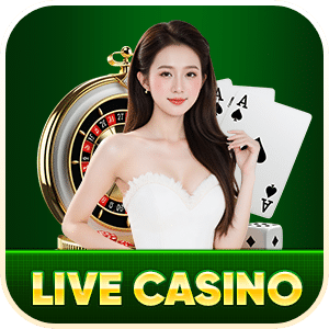 live casino